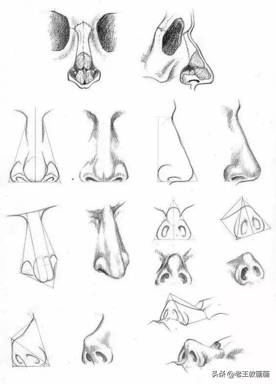 画画教学（50个素描基础教程）