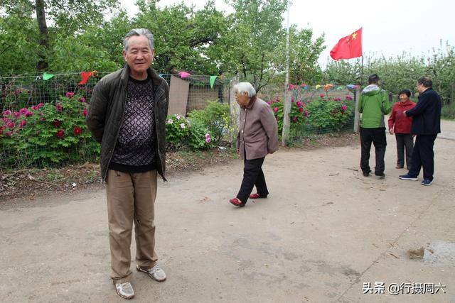 手工活300一天在家做（杜大爷家的牡丹园）