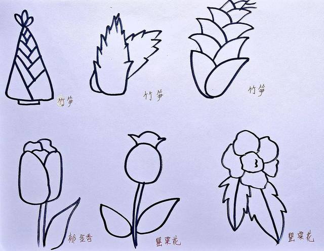女孩的简笔画怎么画 简单又好看（绘画打卡第69天～今天一起来学习绘画“简笔画”）