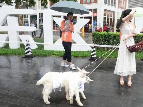 网上工作在家可做（普通人还有一天挣500-1000元的机会吗？）