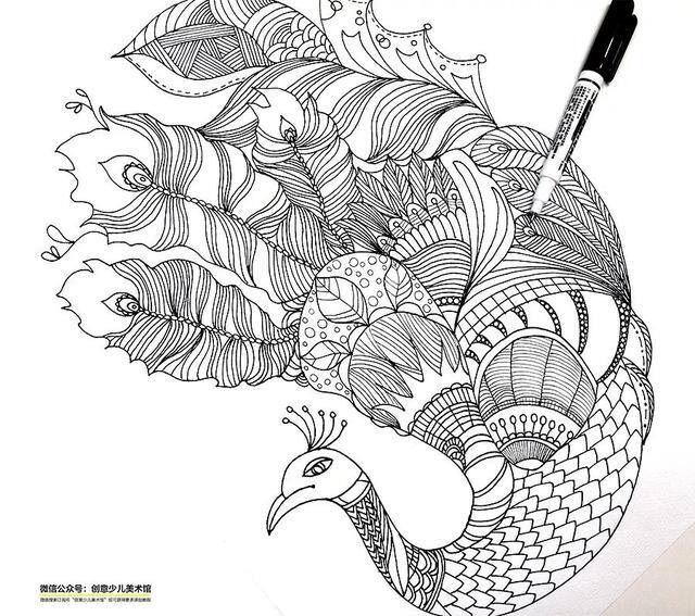 孔雀怎么画最漂亮（黑白线描和色彩的组合表现出孔雀的美感）