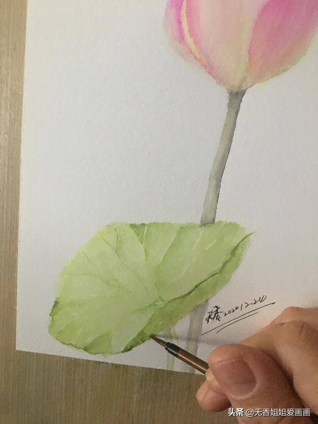 荷花怎么画画的又简单又漂亮（美丽的荷花，简单又有趣）