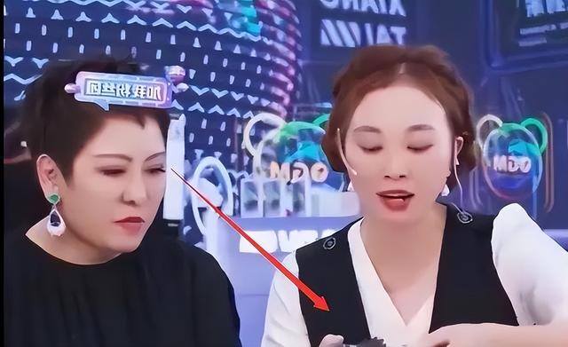 一天一夜挣30万（向太直播带货引争议）