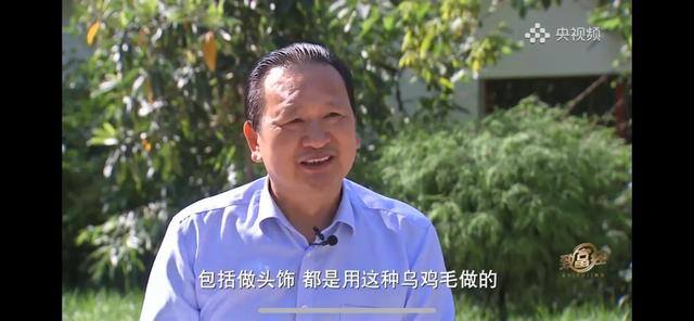 养多少鸡能赚20万（徐士乾养殖乌鸡失败，妻子的一句话，让他气走妻子）