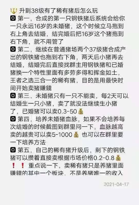 真正的赚钱软件无广告游戏（稀有猪升级攻略）