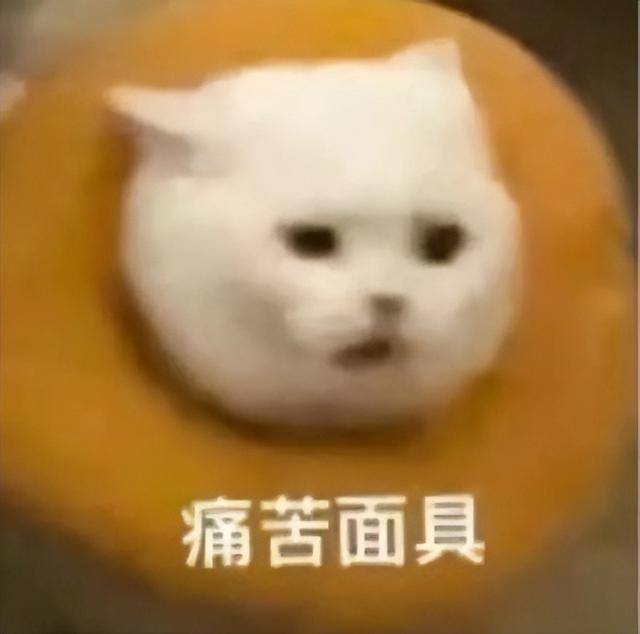最真实的赚钱软件（行程卡纪念版，三年抗疫之旅）