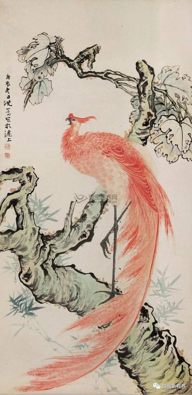 凤凰怎么画漂亮（沈一斋花鸟）