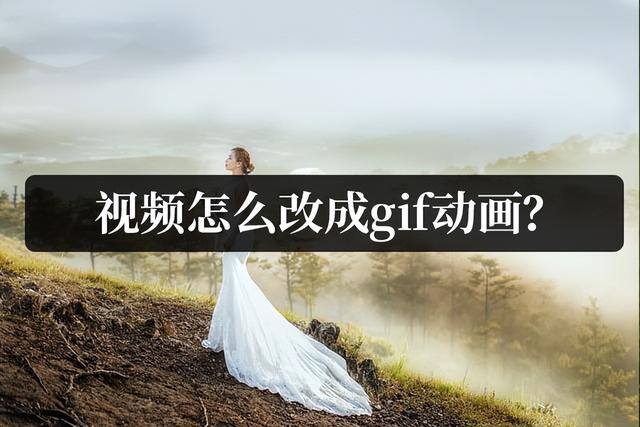 怎么把视频做成微信表情包（视频怎么改成gif动画？）