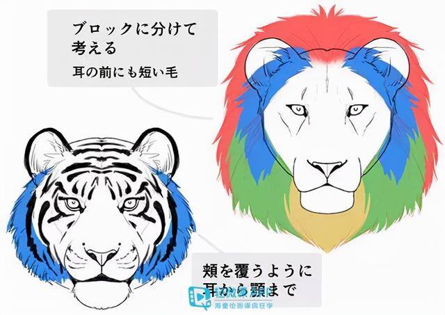 动物怎么画简单又漂亮（如何画出小动物？动物简单画法技巧！）