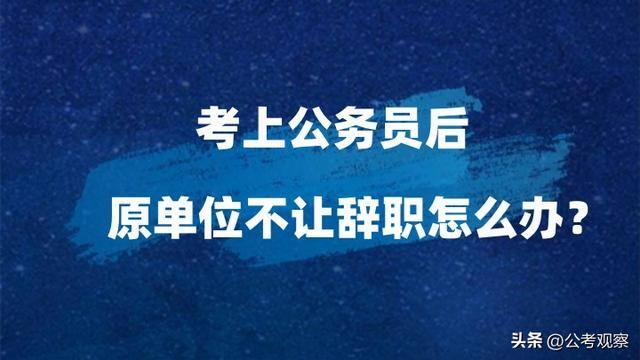 大专学历可以干什么工作（专科生能报考国家公务员的什么岗位？）