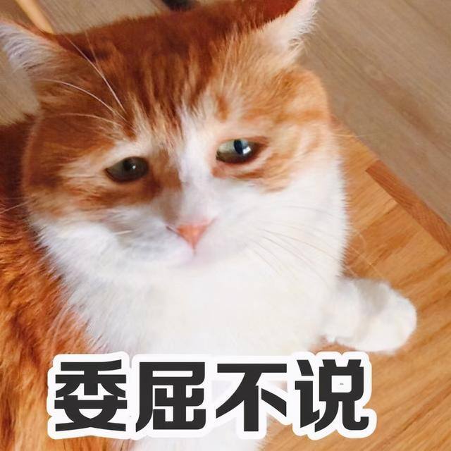 最赚钱的十种手工活（宠物寄养赚钱方法）