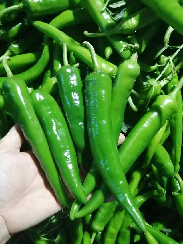 我很迷茫不知道自己适合什么工作（如何判断自己适合什么样的工作？）
