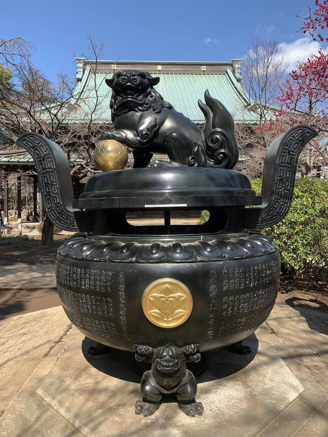 发财毛一般长在哪里（日本旅行攻略之“招财猫”）