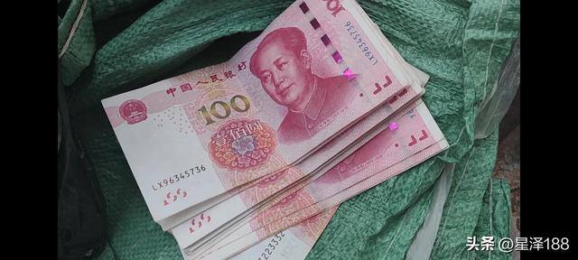 做什么挣钱（现在做什么工作比较赚钱）