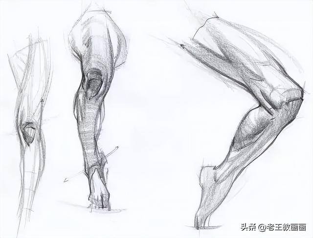 画画教学（50个素描基础教程）