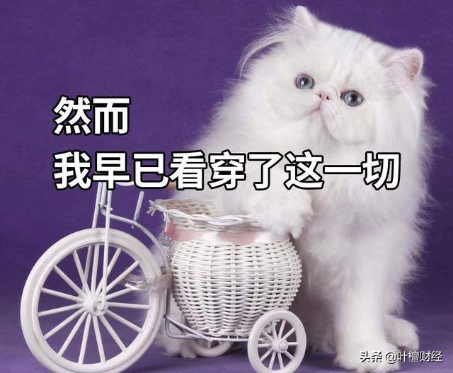 杨永兴十步尾盘买入法（股神李奥：曾经的富家子弟）
