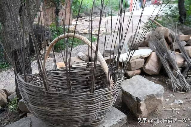 在农村做什么（荆条筐的编织方法）