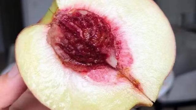 我的水果店赚钱软件（水果店老板圈子第604次分享）