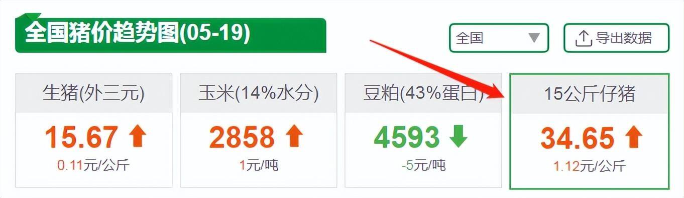 养猪价格（猪市迎来彻底转折，但猪价并无大涨支撑！）