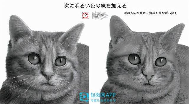 动物怎么画简单又漂亮（如何画出小动物？动物简单画法技巧！）