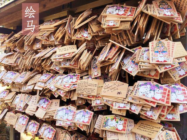 发财毛一般长在哪里（日本旅行攻略之“招财猫”）