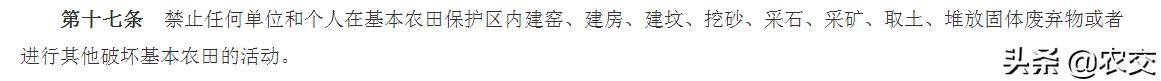 基本农田可以种果树吗（占用基本农田种植果树，符合相关规定吗？）