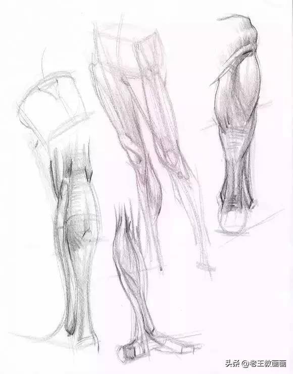 画画教学（50个素描基础教程）
