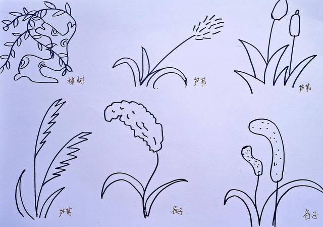 女孩的简笔画怎么画 简单又好看（绘画打卡第69天～今天一起来学习绘画“简笔画”）