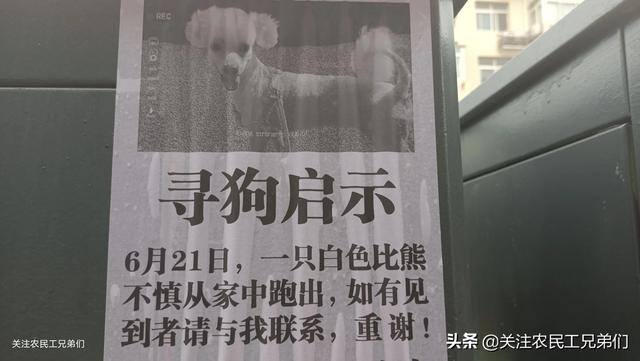 赚钱门路（创业赚钱的新路子）