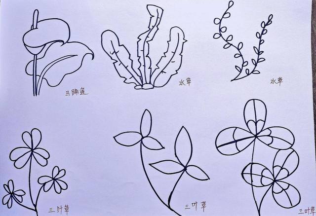 女孩的简笔画怎么画 简单又好看（绘画打卡第69天～今天一起来学习绘画“简笔画”）
