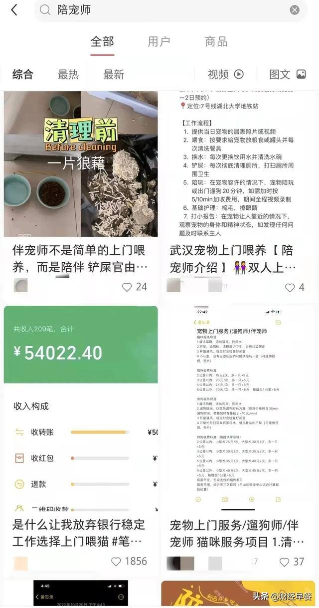 在家里做什么可以挣钱又不用投资（春联、红包设计师、宠物寄养、陪伴师、陪伴师，你选哪个？）