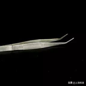 用废旧物品做手工简单又漂亮（手把手教你做“叶脉书签”）