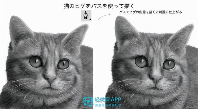 动物怎么画简单又漂亮（如何画出小动物？动物简单画法技巧！）