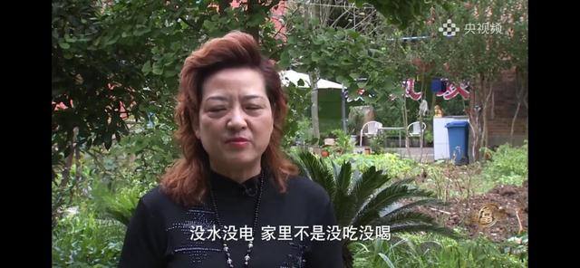 养多少鸡能赚20万（徐士乾养殖乌鸡失败，妻子的一句话，让他气走妻子）