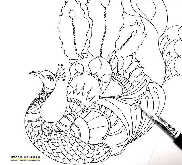 孔雀怎么画最漂亮（黑白线描和色彩的组合表现出孔雀的美感）