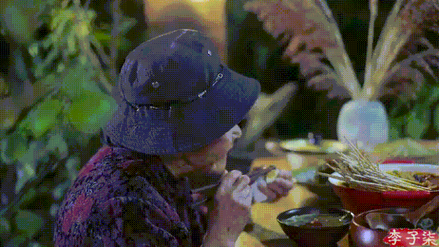 怎么拍视频（李子柒的美食摄影技巧）