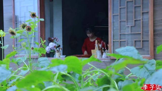 怎么拍视频（李子柒的美食摄影技巧）