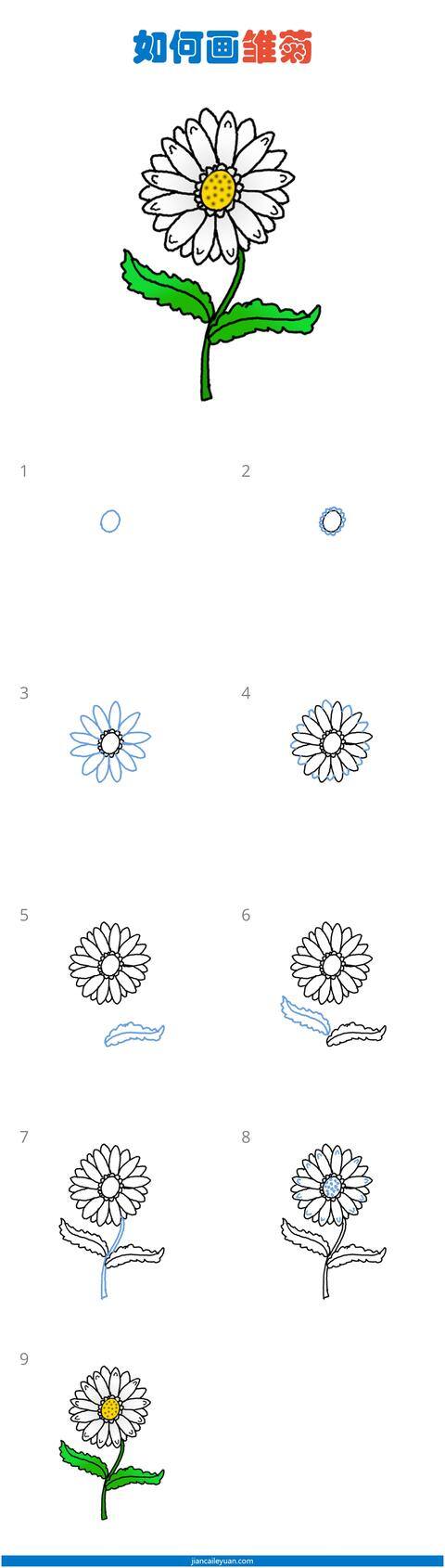 教师节花朵手工怎么做（教师节送给老师的祝福语）