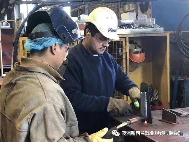 去新西兰打工一个月能挣多少钱大概（新西兰打工一年可以收入多少？我带大家来了解一下）