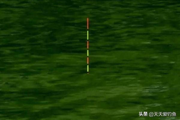 钓鱼的步骤（台钓调漂的5个步骤）