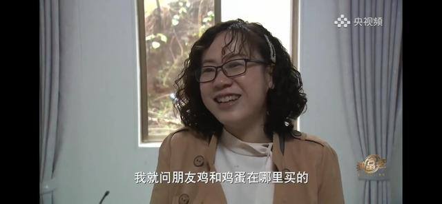 养多少鸡能赚20万（徐士乾养殖乌鸡失败，妻子的一句话，让他气走妻子）
