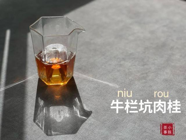 卖茶叶生意怎么样（岩茶小白的心得）
