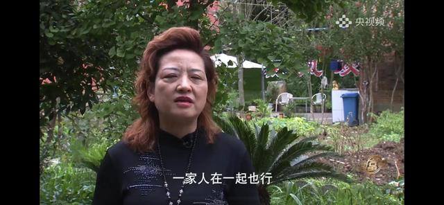 养多少鸡能赚20万（徐士乾养殖乌鸡失败，妻子的一句话，让他气走妻子）