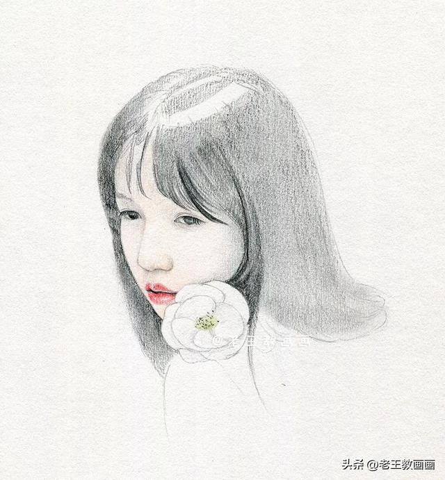 好看的画怎么画（彩铅人像使用工具）