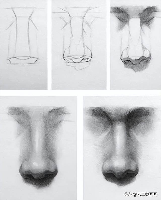 怎么学画画（素描入门教程）