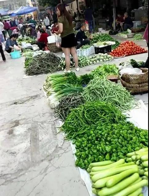 卖菜怎么样卖才能赚钱（一板车上卖白菜赚钱吗？）