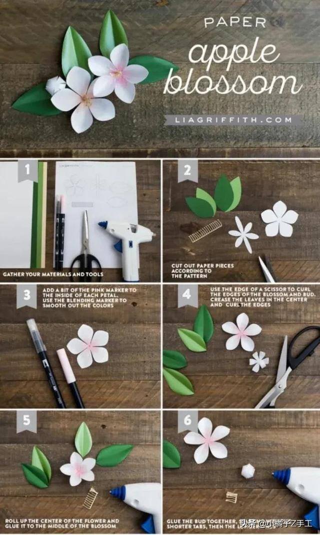 立体花手工制作（10款立体花朵制作教程）