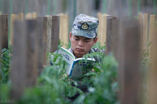大学生当兵两年后可以拿多少钱（大学生当兵2年，津贴多少？有何待遇？）