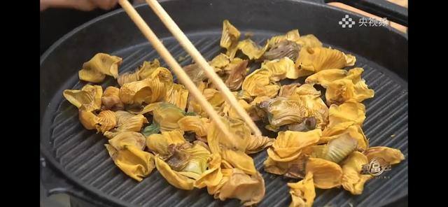 养多少鸡能赚20万（徐士乾养殖乌鸡失败，妻子的一句话，让他气走妻子）
