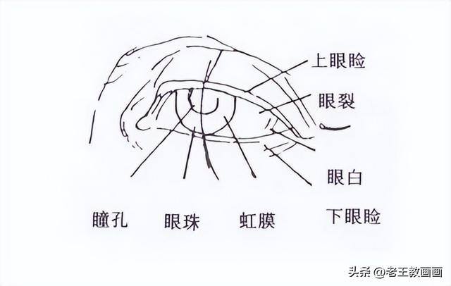画画教学（50个素描基础教程）